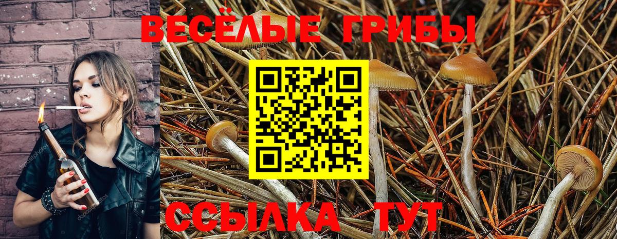 Псилоцибиновые грибы MAGIC MUSHROOMS  Галлюциногенные грибы мицелий  Мурино  Вход с VPN 