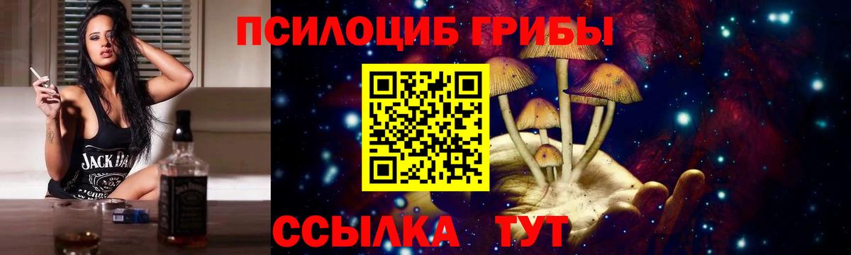 Псилоцибиновые грибы MAGIC MUSHROOMS Мурино