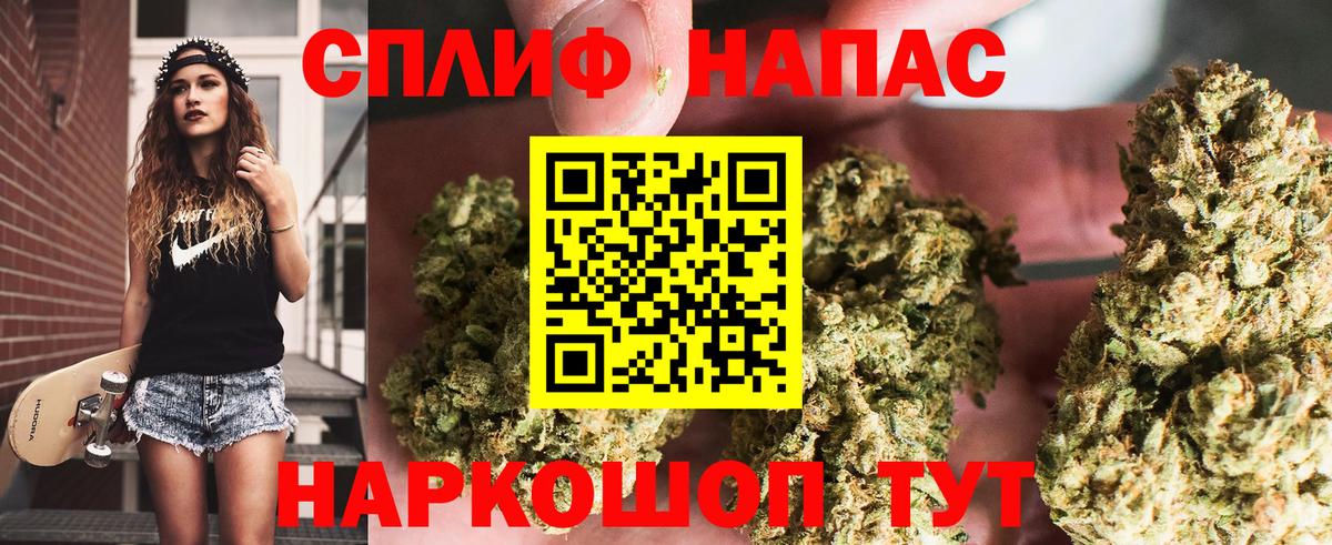 Каннабис план  Вход с VPN  Шишки марихуана конопля  Канабис OG Kush  Мурино 